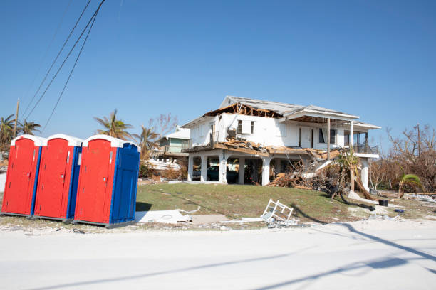 Best Tree Cabling and Bracing  in Bloomfield, NY